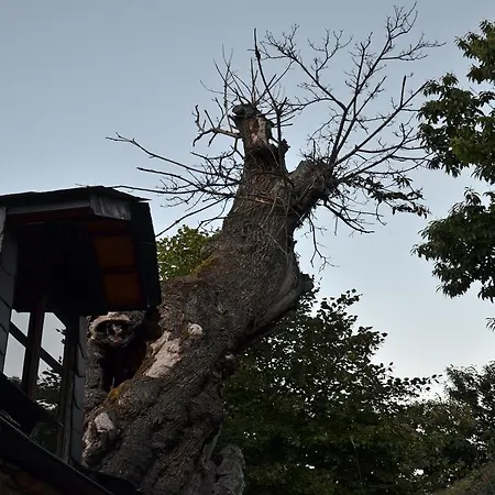 O Palleiro Do Pe Do Forno Hotel 3*