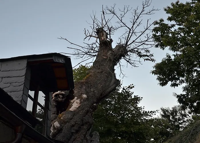 O Palleiro Do Pe Do Forno Отель 3*